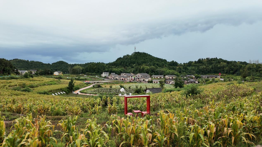 活力中国调研行丨记者手记：田园间奏响农文旅交响曲