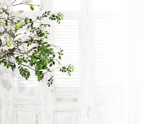 2025年秋季淘宝服饰趋势：简约与复古的完美融合