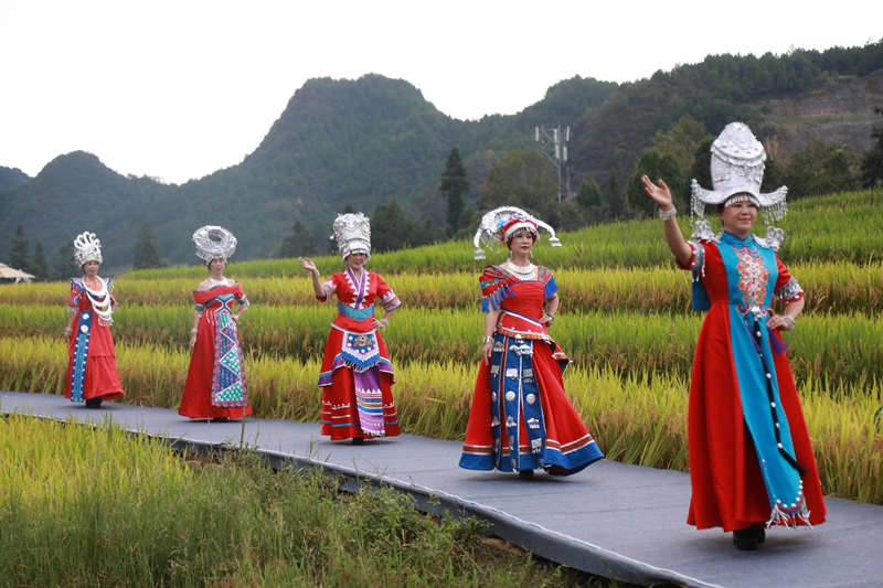 农事体验、田园艺术表演……贵州龙里：梯田“盛宴”闹秋收