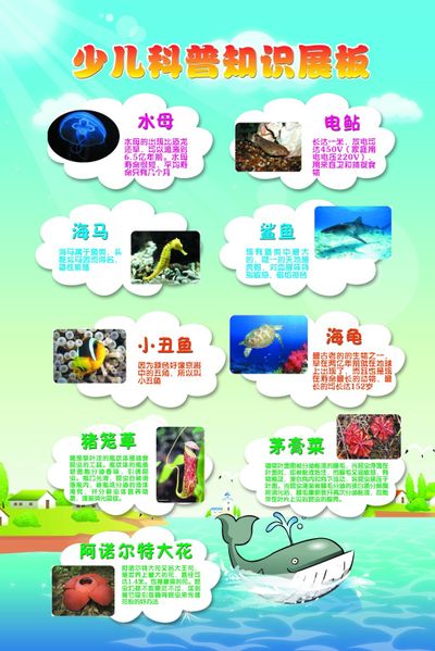 上海揭晓保护生育力健康形象“沪小六”相关知识纳入全市健康科普资源库