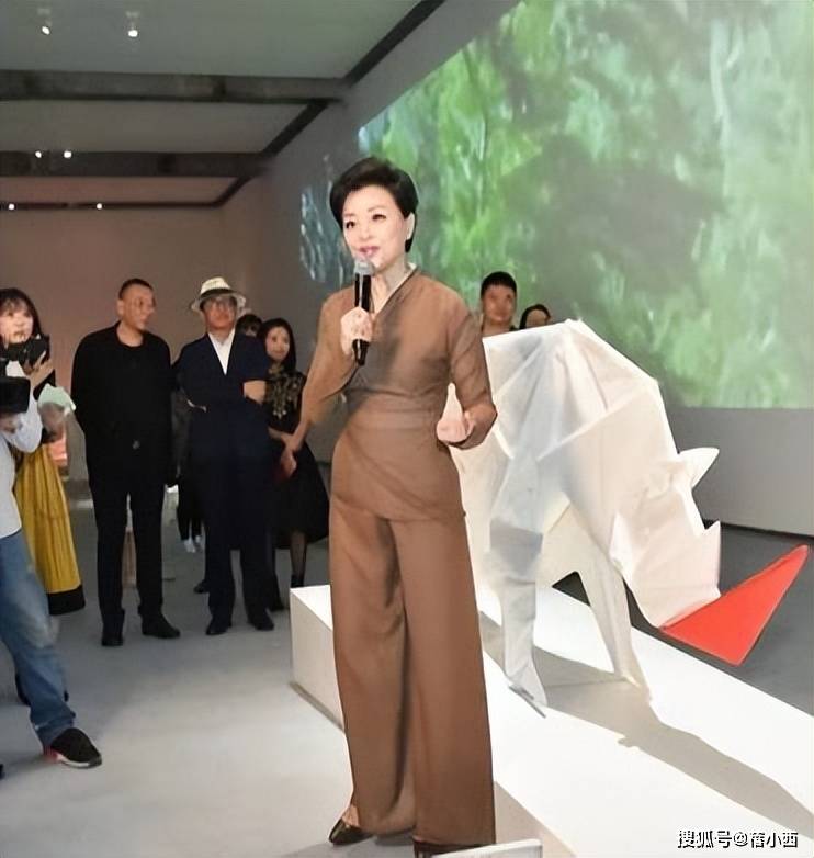 杨澜现身法国巴黎艺术节穿新中式像个贵族夫人一般人真穿不起